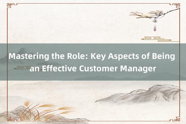 Mastering the Role: Key Aspects of Being an Effective Customer Manager